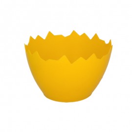 Žlutý obal - skořápka