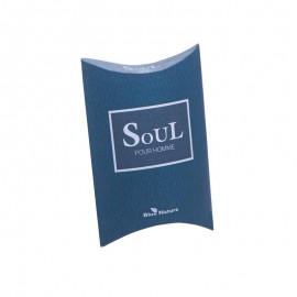 Pánská toaletní voda Soul Mini parfém 20 ml
