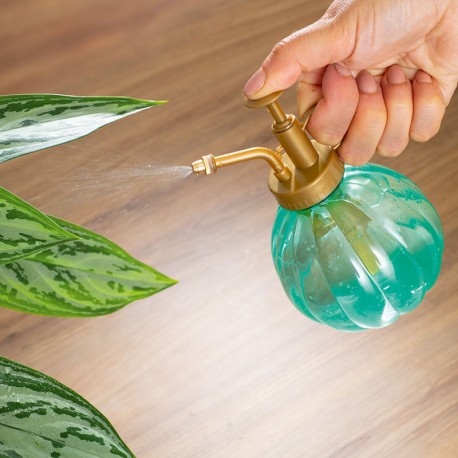 Mini postřikovač s pumpičkou